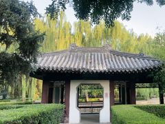 -团结湖公园