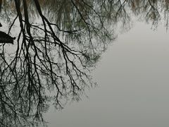 -桃花堤公园