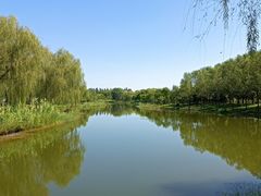 -东郊湿地公园