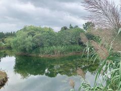 -东平国家森林公园
