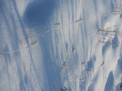 android_upload_pic-雾凇岛