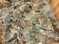 -初色海鲜自助(万丰路店)