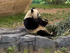 -秦皇岛野生动物园