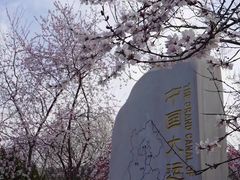 -桃花堤公园