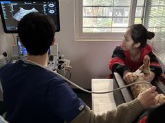 -伟伟宠物医院·CT影像中心·瑞派犬猫综合性门诊(汉口总院)