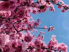 -兰陵国家农业公园