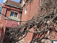 -中山路壹号传奇club·啤酒花园餐厅