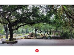 -广州市白云山风景名胜区