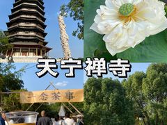 -兔爸私家小厨(新北万达店)
