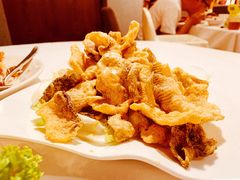 黄金鱼皮-詠春园