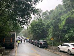 -梧桐山风景名胜区