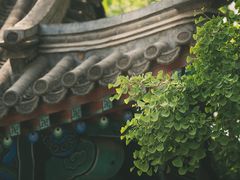 -北京石刻艺术博物馆(五塔寺)