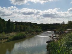 -上海长兴岛郊野公园