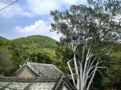 -潭柘寺景区