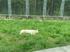 -上海野生动物园