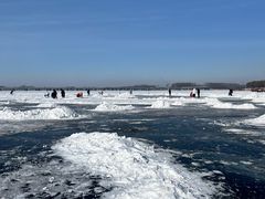 -丁香湖公园