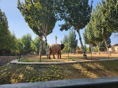 -石家庄市动物园