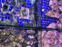 -青蓬蒸汽海鲜·深圳老字号·团建聚会(壹方城店)