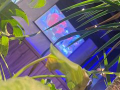 -bluefrog蓝蛙(皇庭广场店)
