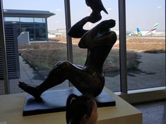 -米兰马尔彭萨国际机场