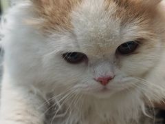 -联合动物医院(光谷诊疗中心)