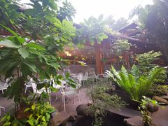 -Trung Nguyen Café Legend