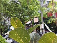 -福照楼汽锅鸡·云南菜(护国路店)