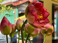 -宫事颐庭·老佛爷贵寿下午茶(颐和园店)