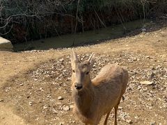 -杭州野生动物世界