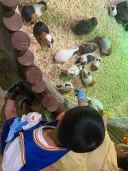 -宝燕乐园(闵行旗舰店)