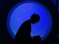 -江和美海洋公园