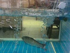 -老味道1992(武当山店)