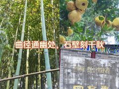 -罔极寺