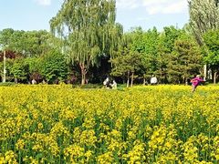 -北坞公园