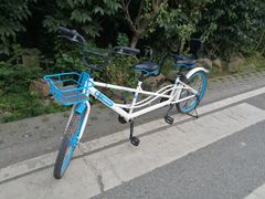 -三圣花乡旅游区