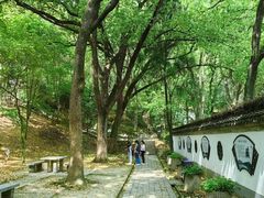 -上海佘山国家森林公园天马山园