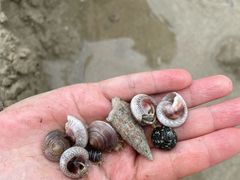 -西涌国际滨海旅游区