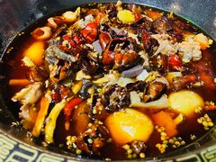 -一只烧鸡公(解放碑店)