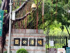 -晓港公园