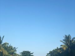 -海棠湾洲际-涛·海底餐厅·美人鱼·自助餐·海底隧道