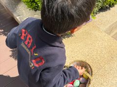 -康莱德酒店·美庭自助餐厅