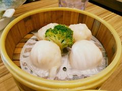 -粤港餐厅(禹州商业广场店)