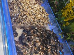 -集杰尚品海鲜烤肉自助餐厅(即墨宝龙广场店)