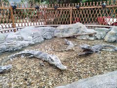 -龙达温泉生态城