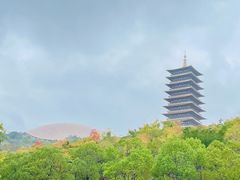 -牛首山文化旅游区