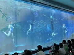 -海合安成都极地海洋公园