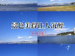 -洱海月湿地公园