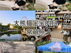 -石家庄市动物园