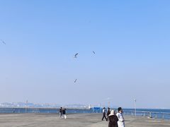 -东港音乐喷泉广场