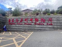 -青藏高原野生动物园
